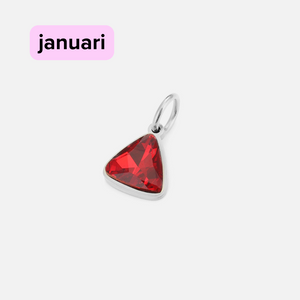 DYO Premium Birthstone zilver januari