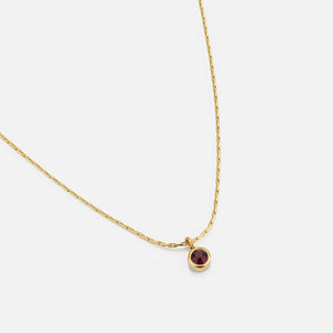 Geboortesteen ketting - Goud / januari