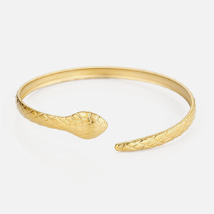Bangle slang goud