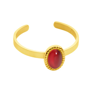 Birthstone ring goud