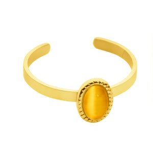 Birthstone ring goud