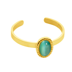 Birthstone ring goud