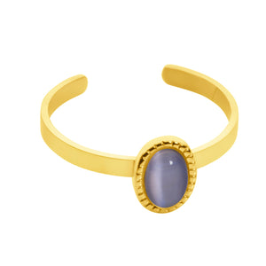 Birthstone ring goud