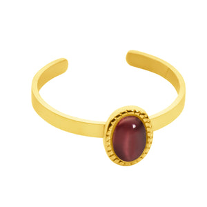 Birthstone ring goud