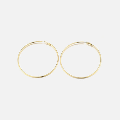 Hoops oorbellen 6cm