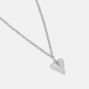 Ketting groot lux hart