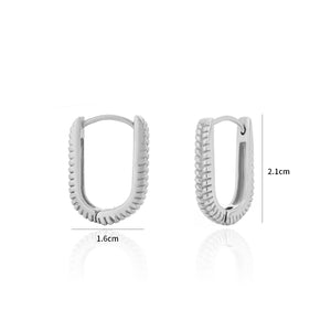 Ovale oorbellen gestreept zilver